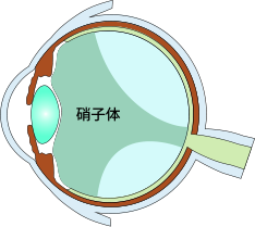 kɎq