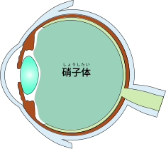kȌɎq